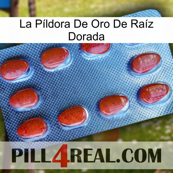 La Píldora De Oro De Raíz Dorada 06.jpg